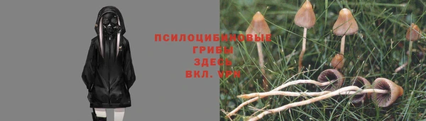 тгк Баксан